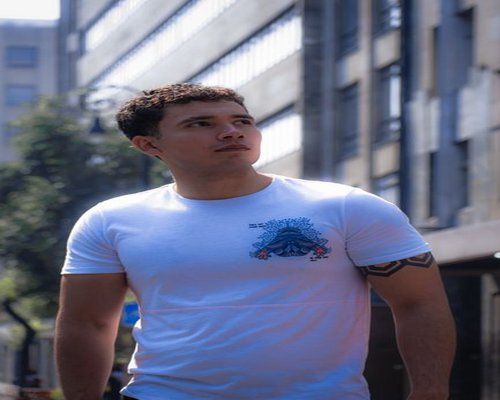 RaidCrownWarriors City Tee